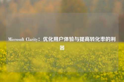 Microsoft Clarity：优化用户体验与提高转化率的利器