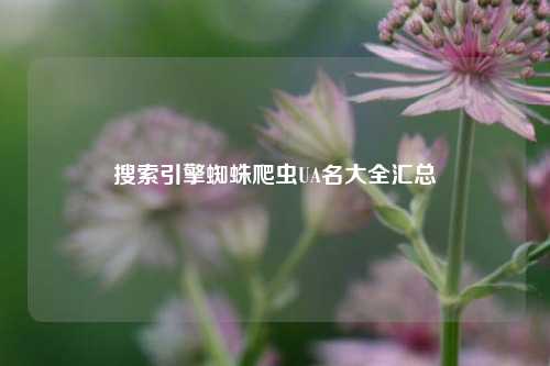 搜索引擎蜘蛛爬虫UA名大全汇总