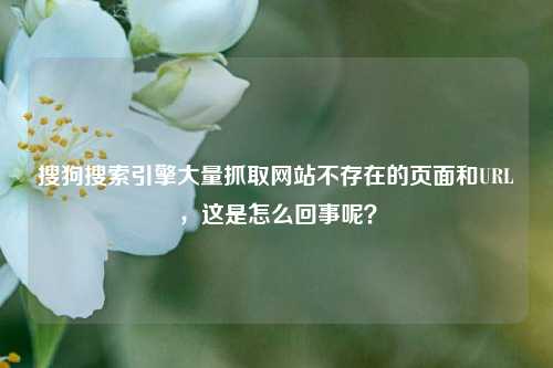 搜狗搜索引擎大量抓取网站不存在的页面和URL，这是怎么回事呢？